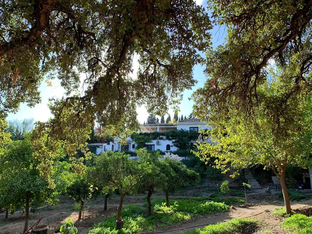 A Natural Retreat Mijas Guest house